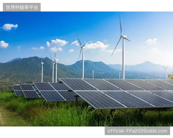 展望2029年，大型体育场馆将凭借其屋顶光伏和储能设施，通过区块链参与到“虚拟电厂”的电网调度中，从能源消费者转变为产销者
